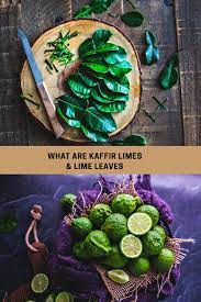 kaffir lime leaves and subsute