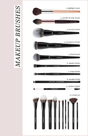 a run down of makeup brushes which one