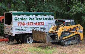 Timberline expert tree service is proud to be your local tree service company in duluth, ga. Tree Service Tree Removal Tree Trimming Buford Ga Gordon Pro Tree Service Serving Dacula Lawrenceville Gainesville Suwanee Johns Creek Braselton Flowery Branch Ga Areas