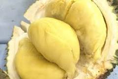 durian-meyvesi-neden-yasak