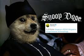 Dogecoin (doge) price live statistics. Snoop Doge Elon Musk S Tweet Has Dogecoin Stock And Memes Soaring