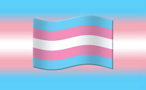 Recently, the following new emoji were released: We Re Finally Getting A Transgender Flag Emoji In 2020