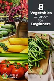 8 easiest vegetables to grow even if