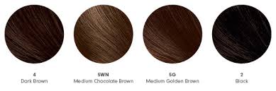 There are so many skin tones and skin colors that are present in the world. At Home Hair Color How To Get The Shade Right Beautylish