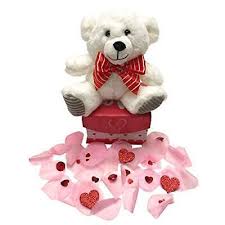 teddy bear plush in a gift box deco