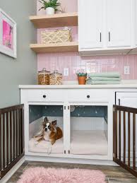 custom dog kennel