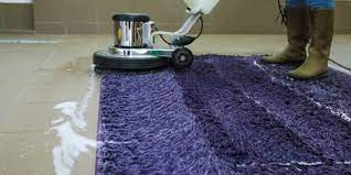 the 1 rug cleaning in overland park