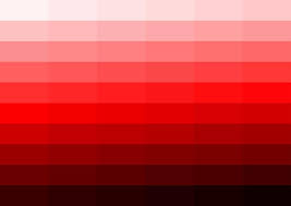 paleta de color rojo con difees