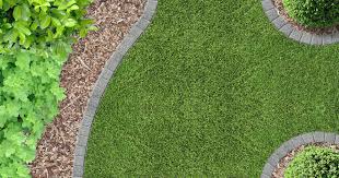 Mow Over Lawn Edging It Will Change