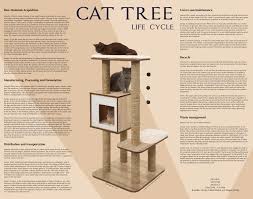 cat tree design life cycle
