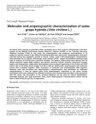Pdf Molecular And Ampelographic Characterization Of Some