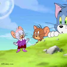 70 tom and jerry dp hd images here