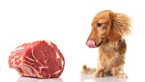 cook beef for your dog use these tips