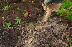 how to make organic fertilizer from compost