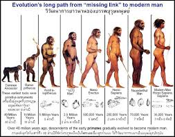Evolution Of Man This Is So Stupid To Me I Didnt Come