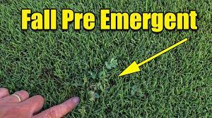 Far north, far south or anywhere in between, there are some fall preparations we all need to consider. Fall Lawn Pre Emergent Youtube
