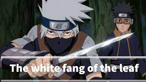 White Fang Of The Leaf- 9 Interesting Things You All Need To Know About