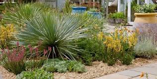 Posted on tuesday, december 17th 2019may 11, 2020. 11 Gardening Trends For 2019 Garden Design And Plant Ideas