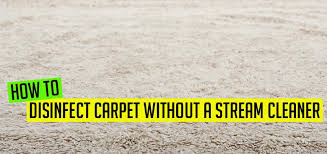 how to disinfect carpet without a steam