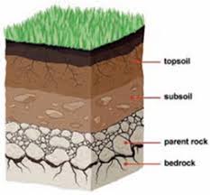 Soil And Soil Profile Introduction Formation Horizon Of