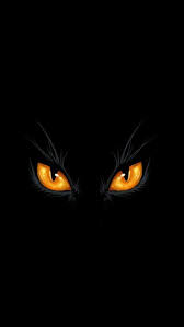 Black Cat Eyes Iphone Wallpaper Cat