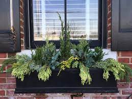 So instead of filling my winter window boxes with wintry cuttings, i decided to create a kind of christmas tree farm in miniature, on my brooklyn windowsill. Window Boxes City Planter