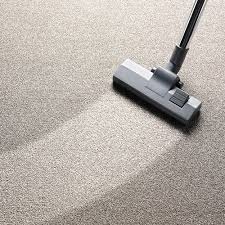 evergreen carpet cleaning services