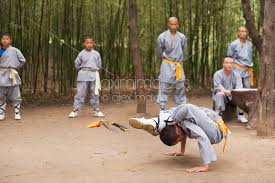 photo of shaolin martial arts