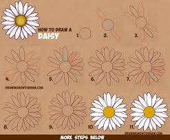 how to draw a daisy flower daisies in