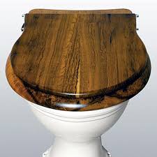 Toilet Seat Dark Teak Chrome Holloways