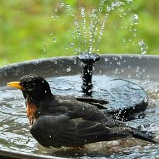 Solar Fountain Bird Bath Fountains