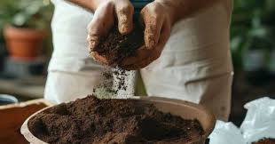 How To Optimal Soil Mix For Container