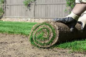 Normally when you hire someone to install sod over existing grass they're supposed to remove the existing grass, amend the soil with. What Are Sod Prices A Breakdown Of Sod Prices Near You