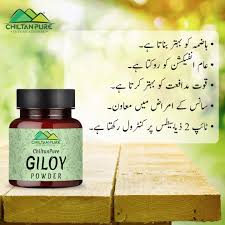 Buy Giloy Powder at Best Price in Pakistan - ChiltanPure