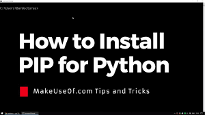 how to install pip for python you