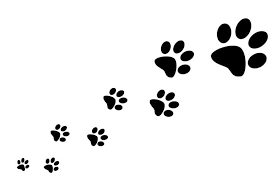 dog cat paw silhouette png clipart
