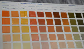 oil color chart exercises for artists