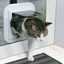 Cat Flaps Fitted In Glass In South West