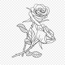 plant lineart rose flower rose clipart