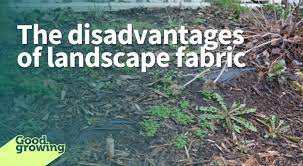 The Disadvantages Of Landscape Fabric