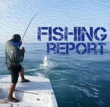 Fishing Report Advosports Victoriaadvocate Com