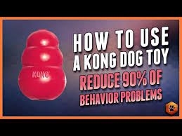 how to use kong toys to help enrich