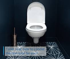 Toilet Seat How To Choose The Best
