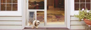 Pet Door Benefits The Pet Door Guys