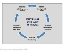 Infant Sleep Cycle Chart
