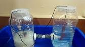 Saliva is actually one of our first defenses against microbial infections. Diy Microbial Fuel Cell Easy Youtube