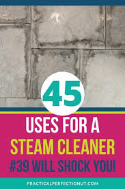 45 Ways To Use A Steam Cleaner In Your