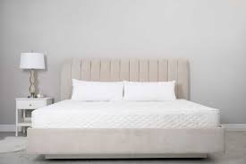 best mattress in a box the top 12 of