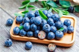 蓝莓种植有哪些注意事项？如何提高产量？ - 土流网