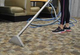 hawkins cleaning carpet cleaning